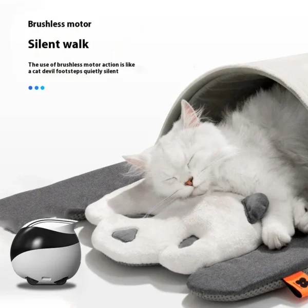 Enabot EBO AIR EBO SE Intelligent Robot Wireless Camera Robot Remote Monitoring Pet Companion Robot Realtime Control Custom Gift - Image 5